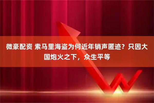 微豪配资 索马里海盗为何近年销声匿迹？只因大国炮火之下，众生平等