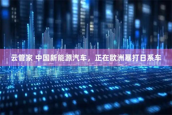 云管家 中国新能源汽车,正在欧洲暴打日系车