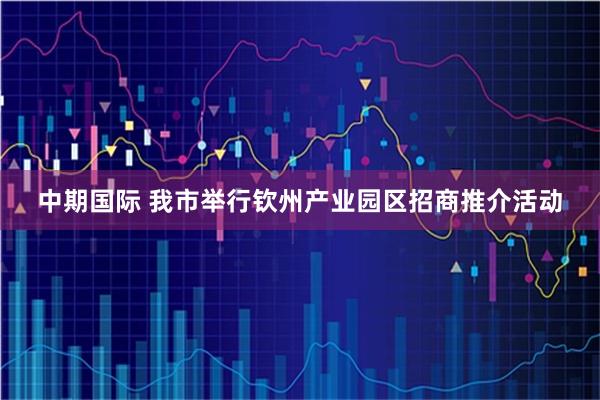 中期国际 我市举行钦州产业园区招商推介活动
