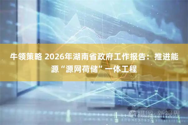 牛领策略 2026年湖南省政府工作报告：推进能源“源网荷储”一体工程