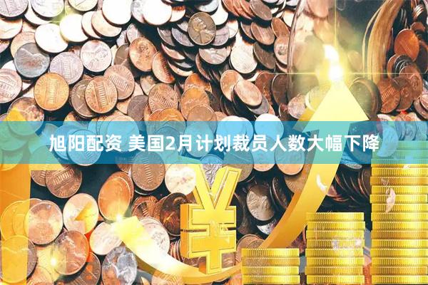 旭阳配资 美国2月计划裁员人数大幅下降